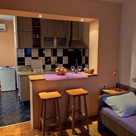 Apartman Ristic Niska Banja Kültér fotó