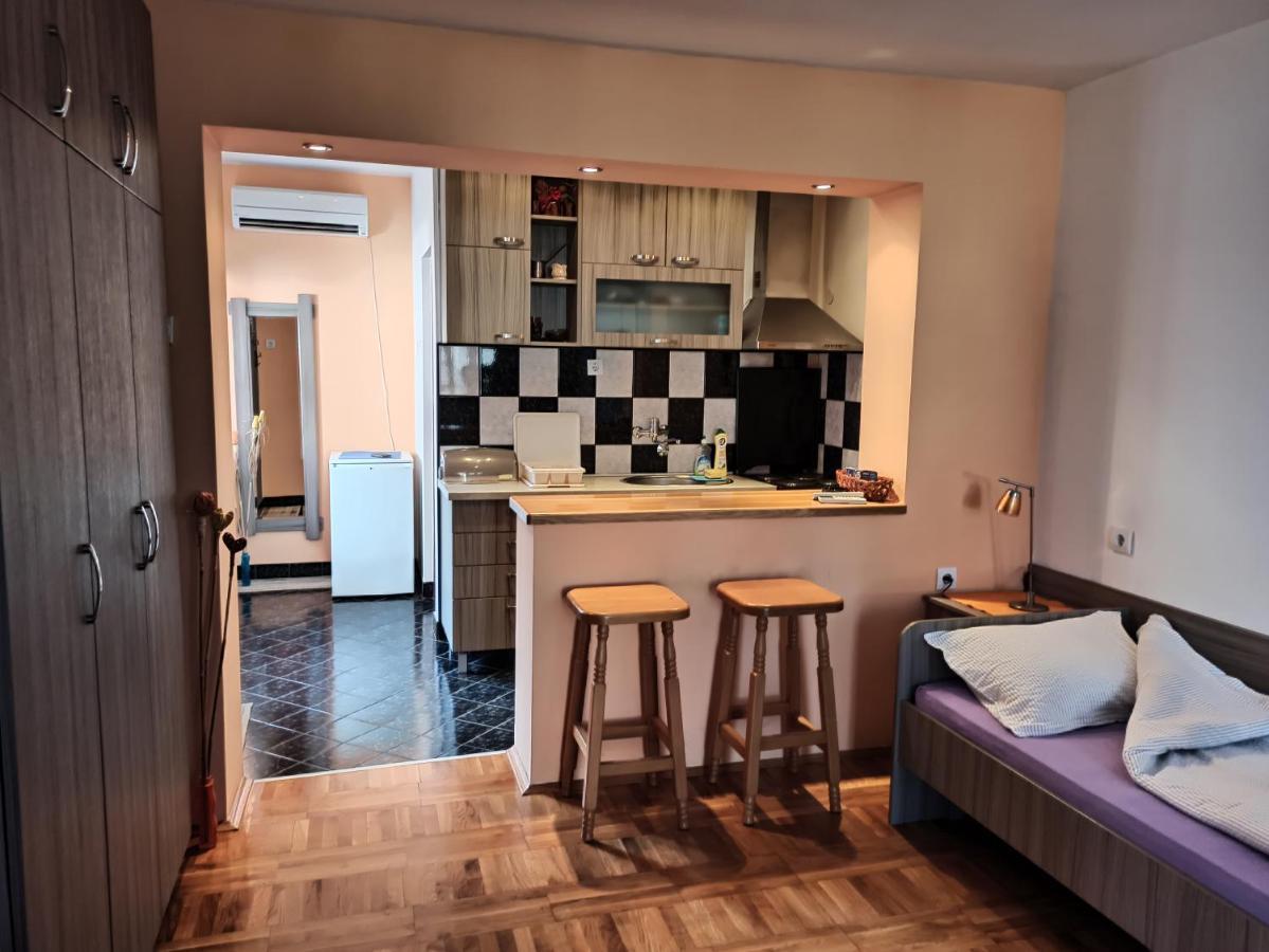Apartman Ristic Niska Banja Kültér fotó