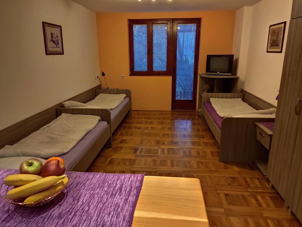 Apartman Ristic Niska Banja Kültér fotó